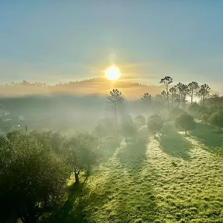 Polina Ferienhaus Leiria